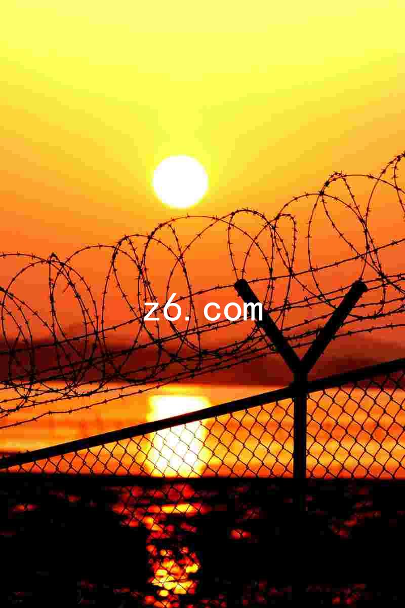 z6.com