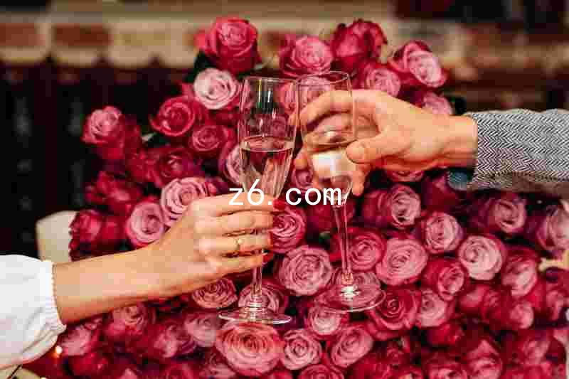 z6.com