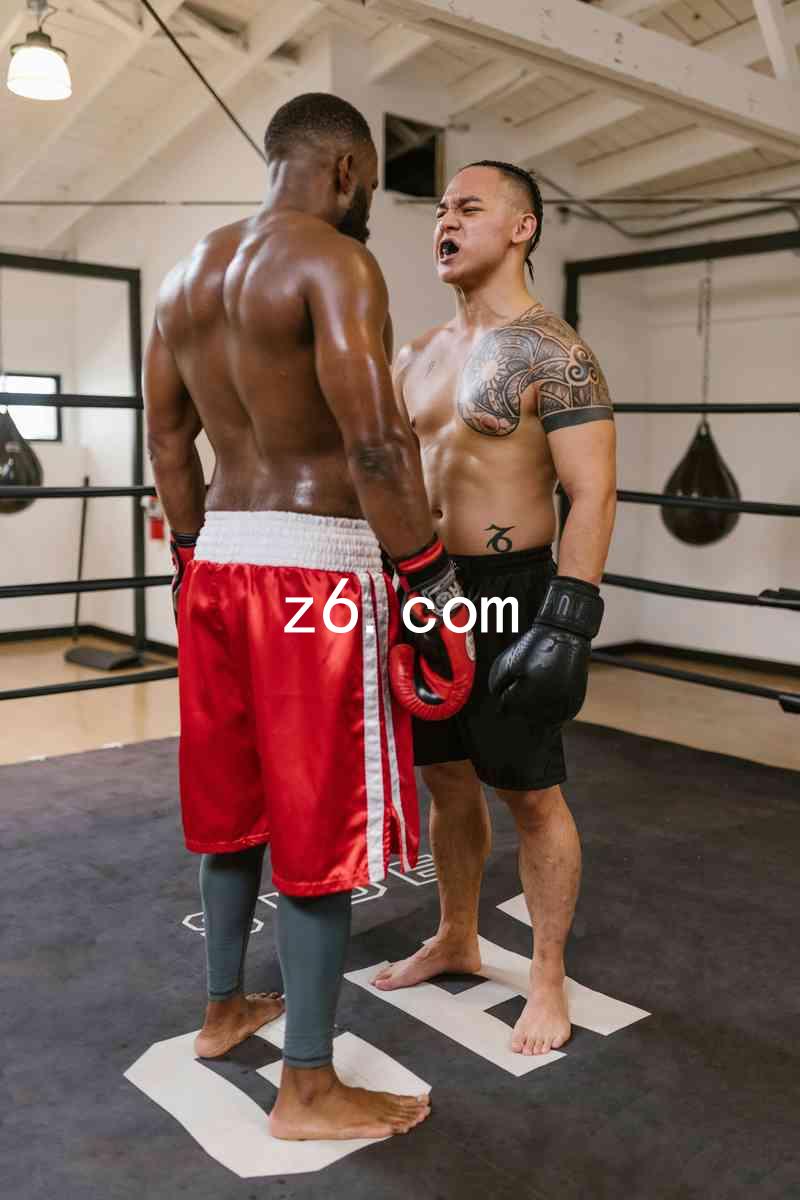 z6.com