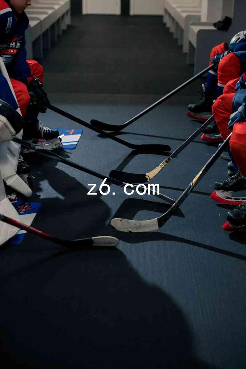z6.com