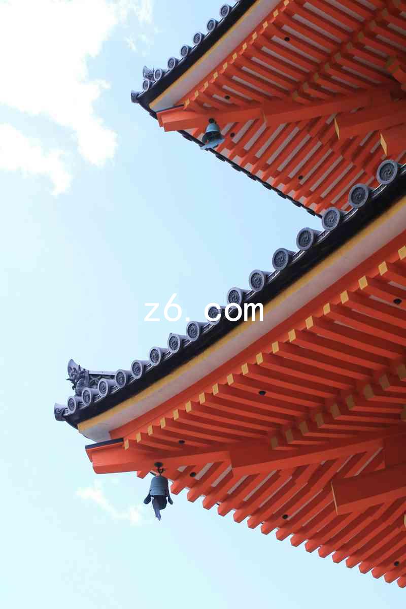 z6.com