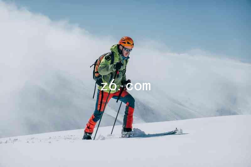 z6.com