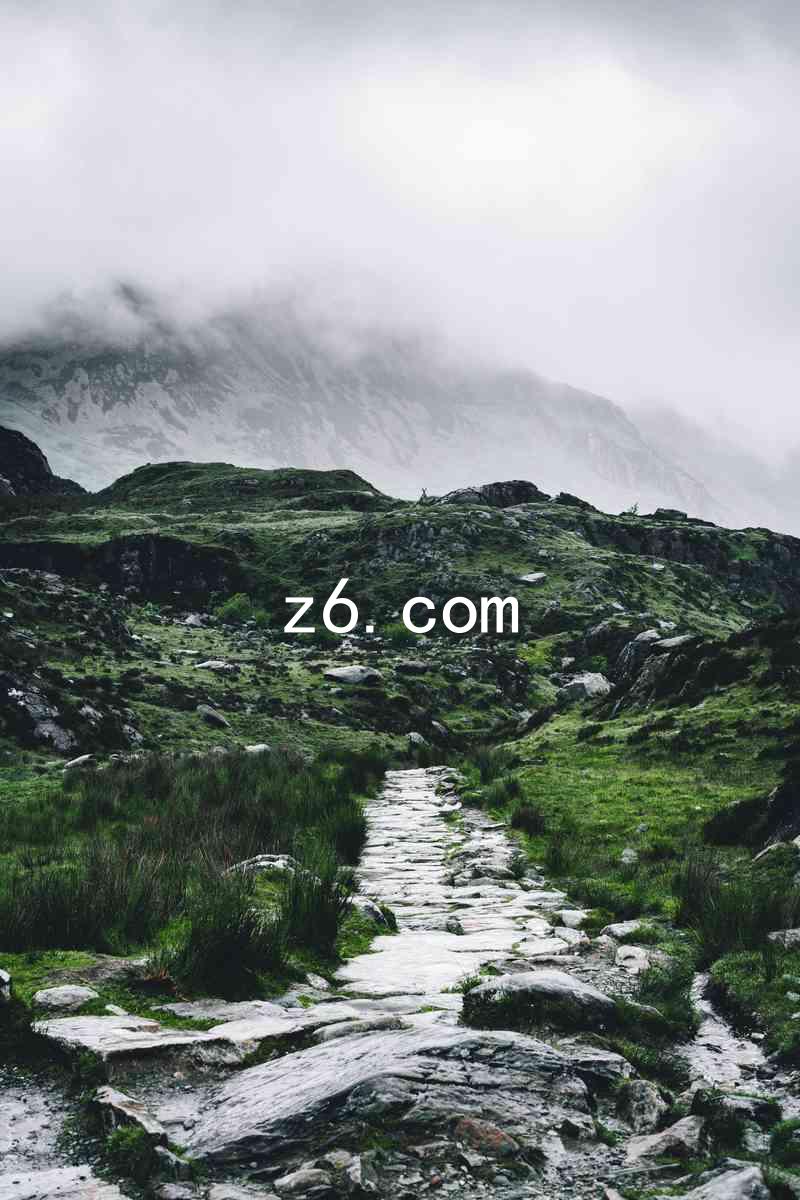z6.com